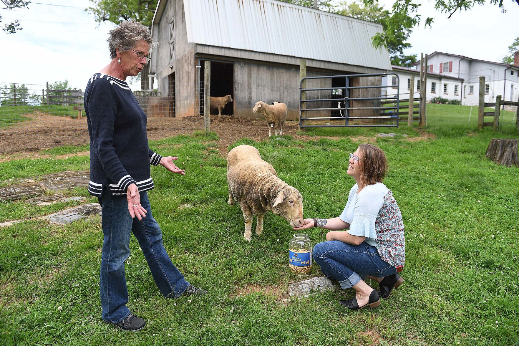 Mulberry Hill Farm